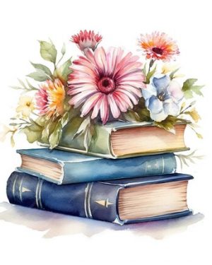 Librairie adulte